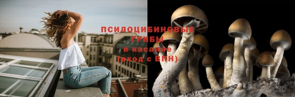 MESCALINE Лихославль