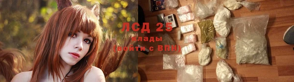 дмт Липки