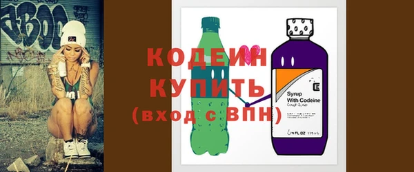 хмурый Лиски