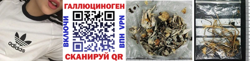Псилоцибиновые грибы Psilocybe  закладки  Ельня 
